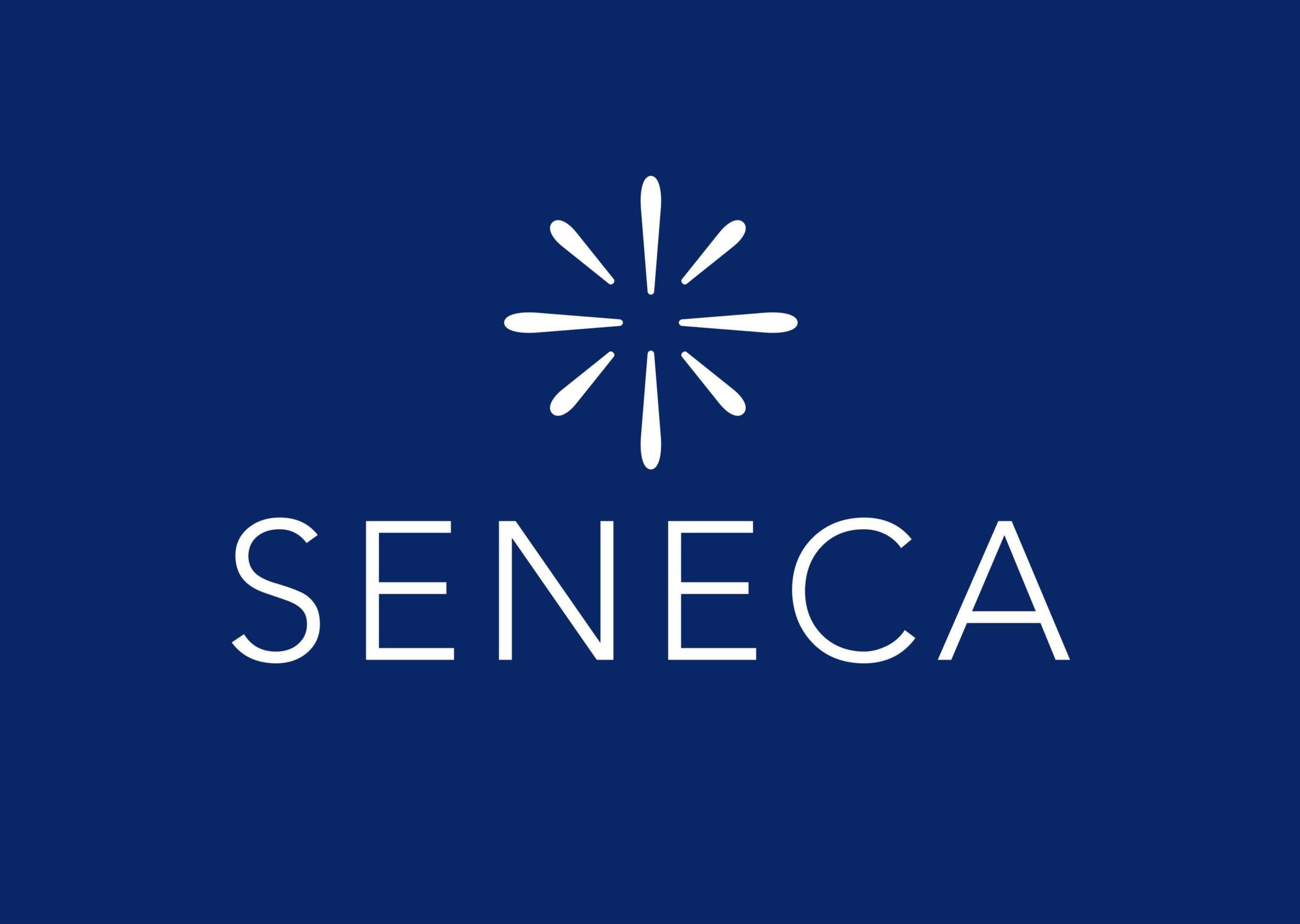 Seneca Learning